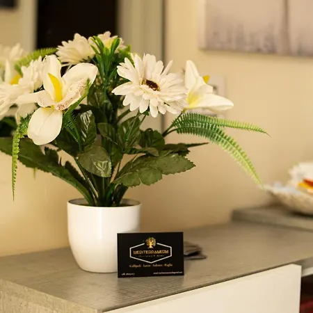 Mediterraneum Guest house Sannicola